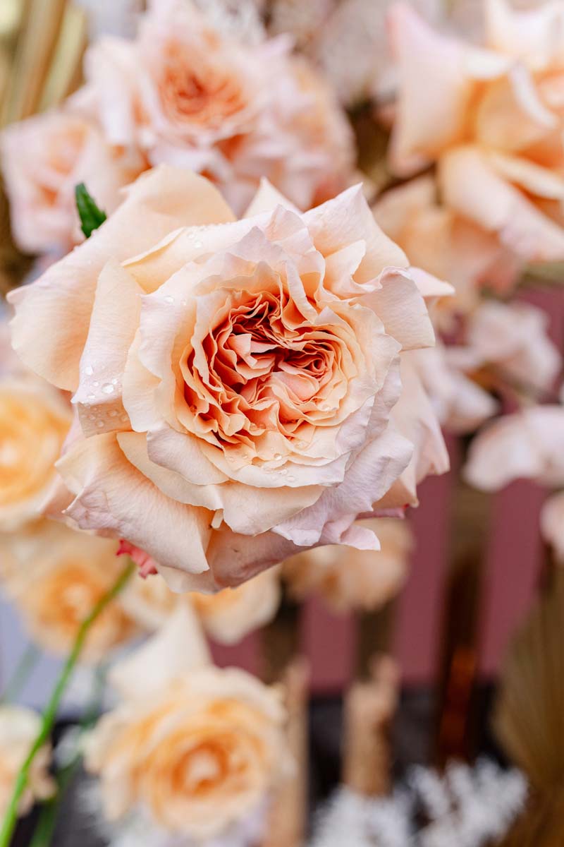 Decor-135