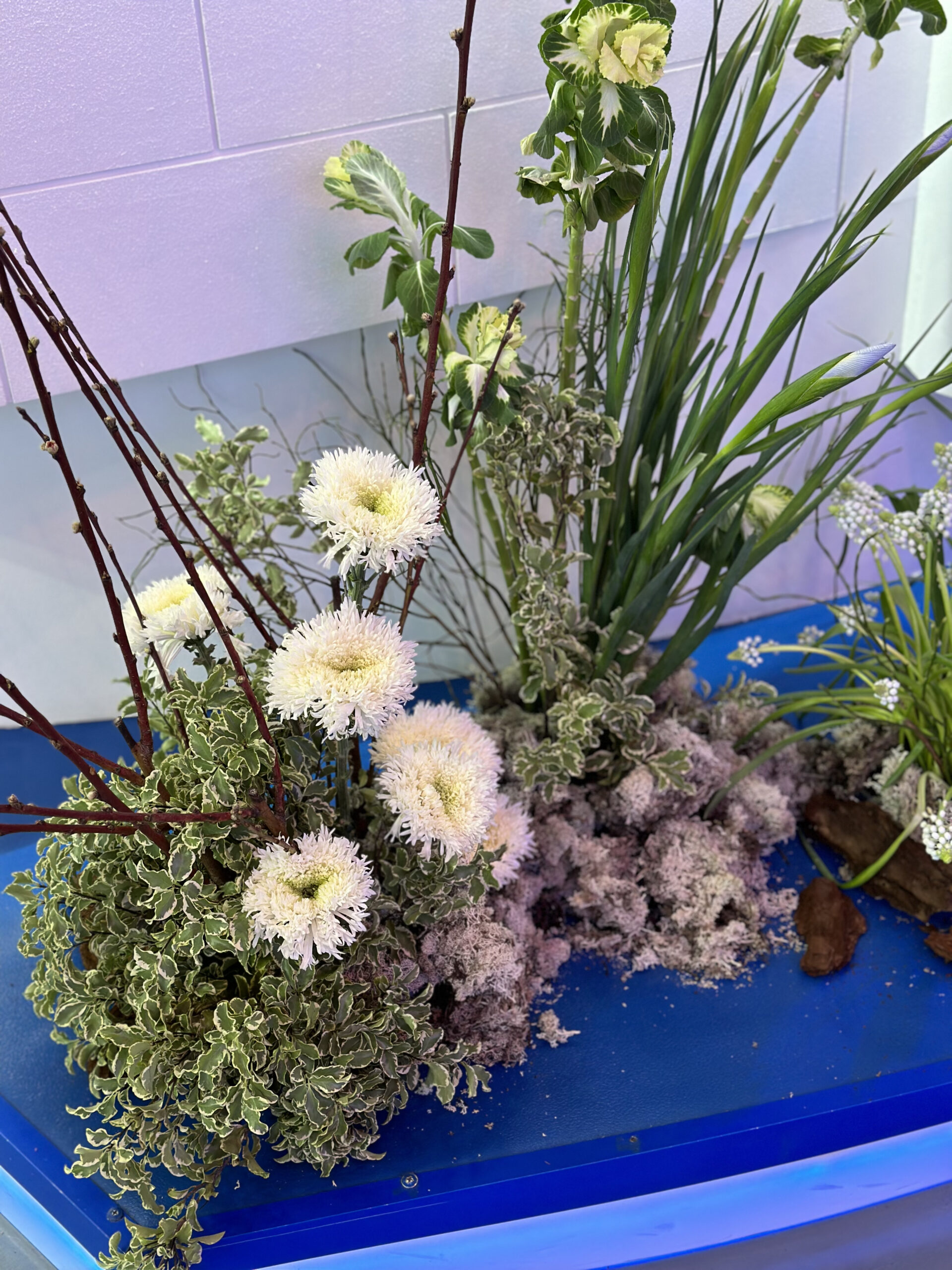IMG_1420
